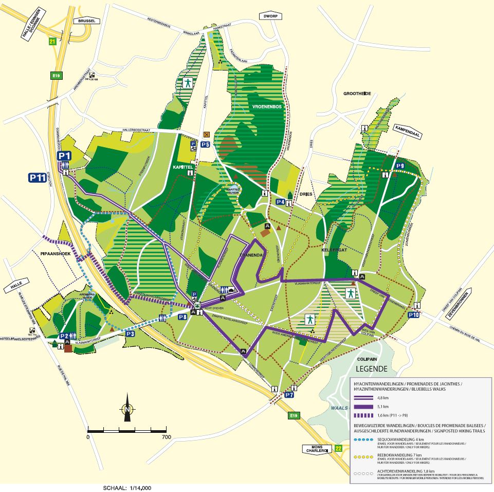 De kaart van het Hallerbos