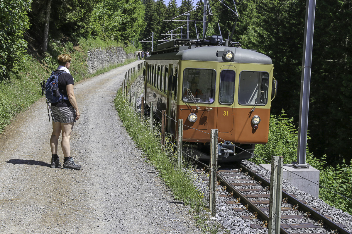 Spoorbaan langs wandelpad